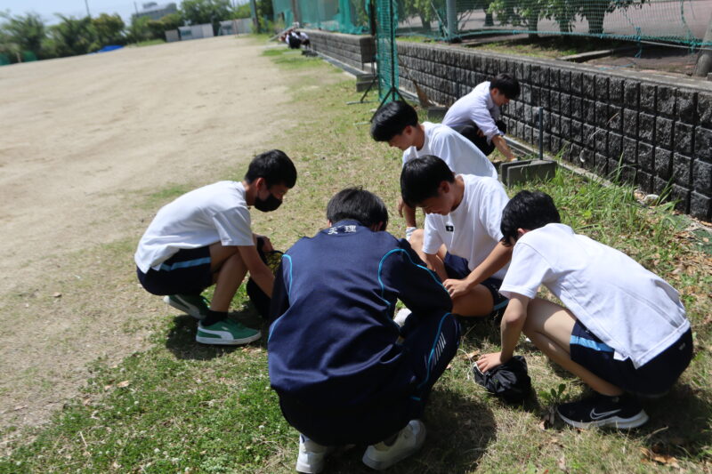 仲間たちと楽しくひのきしん