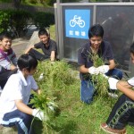 院内の除草作業1